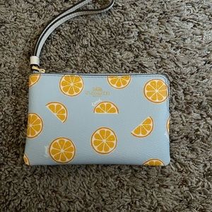Coach Orange Slice Collection